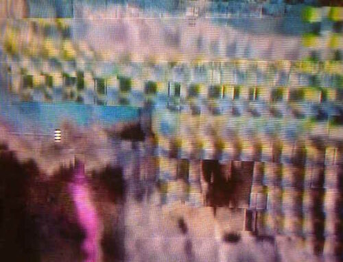 A escola acabou e a TV está ligada: O que as crianças dos EUA assistiram em junho