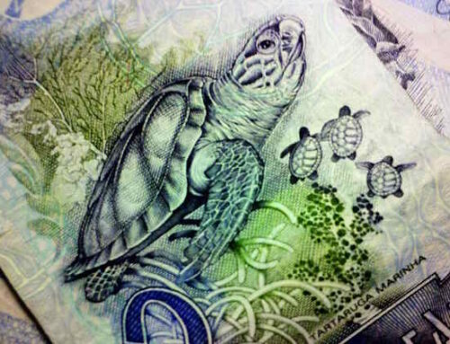 Um terço da população não consegue manter dinheiro por mais de um dia e meio na conta